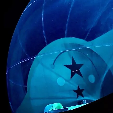 Couette-café Le Castelat De Julienna Gourdon