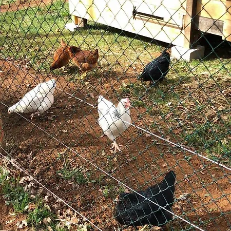 Le Castelat De Julienna Couette-café