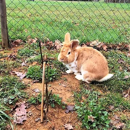 Le Castelat De Julienna Gourdon