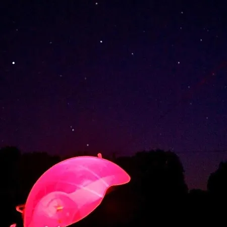 Le Castelat De Julienna Couette-café