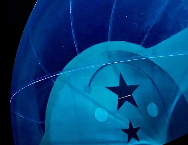 Bed and Breakfast Le Castelat De Julienna Gourdon-en-quercy