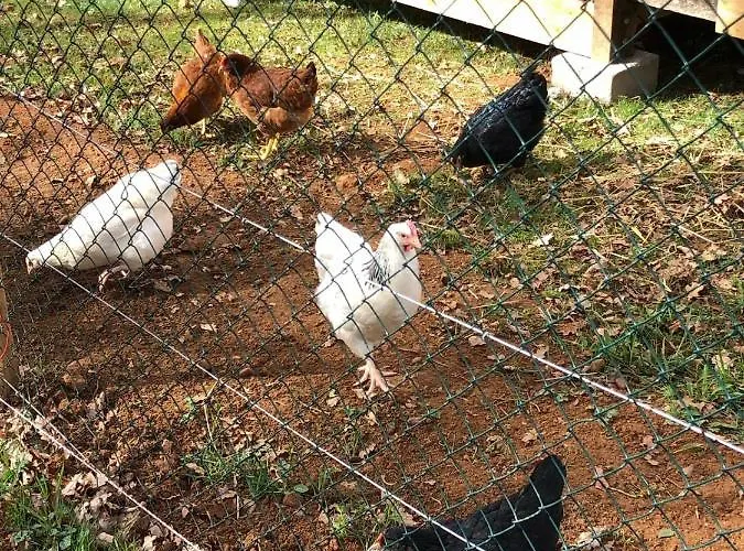 Le Castelat De Julienna Bed and Breakfast